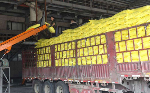 ���ʃr���Դ������A(y��)�ڣ��A(y��)Ӌ���ڃ�(n��i)�Ј����^�m(x��)���ݱP��