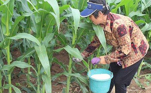 ���׷ʣ����ğoϢ�����M(j��n)���˒�β