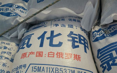 �Ȼ���Ј���֧�κ����գ������돊�����أ�