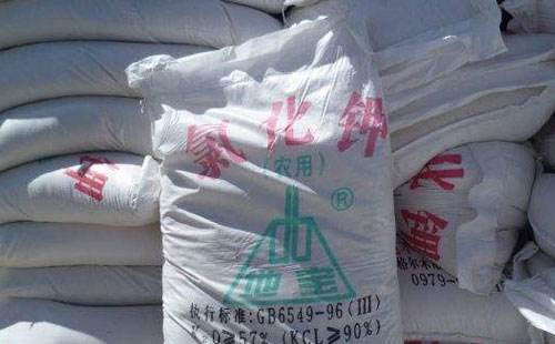 �ȑn�⻼���Ȼ���ܷ��ͦ�\��