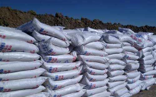 ⛷��Ј����F�ϝq���^��ԓ���ֆ᣿