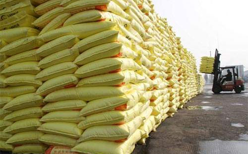 ⛷��Ј���S��С���ϝq�Ġ�B������ͦ�r���q��w�^��