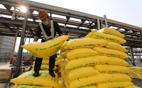 ���؃r���ƻ��Q�Ĵ�q������ĺ��������ʲô��