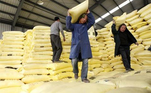 �����Ј����՝u�@���r�����^�m(x��)�ߵ�