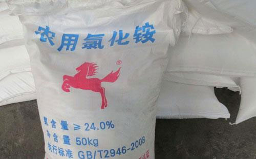 �Ȼ��@�Ј���ðlչ�������Ј��߄݂����Pע