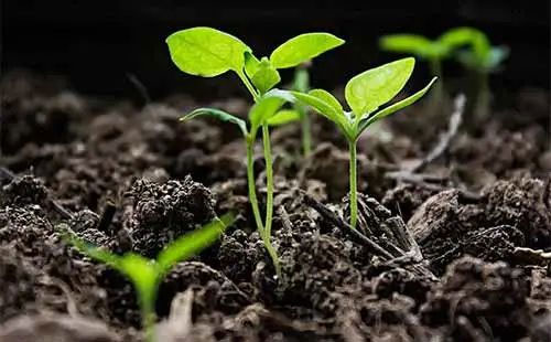 �����@���S��r�����500~750Ԫ��2�·݃r���^�m����