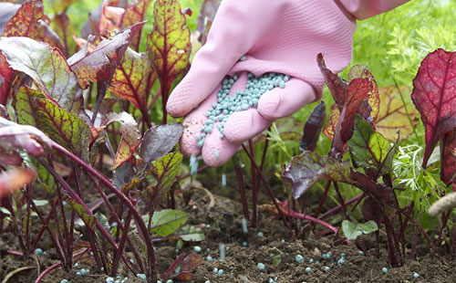 �����r(n��ng)�a(ch��n)Ʒ�����������2021�_�껯�ʾo�΃r(ji��)���߸�