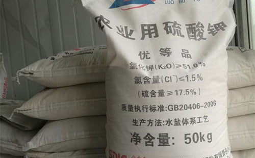 ⛷ʃr����m(x��)�ʝq���ʬF(xi��n)����߾��ϵđB(t��i)��