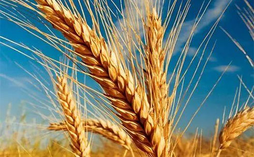 ��С��?zh��n)��?g��u)�r(ji��)���ϝq�����û����Ј�(ch��ng)��