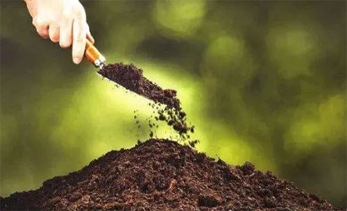 ԭ�ψ�(b��o)�r(ji��)��(qi��ng)��(sh��)�ϝq�����֏�(f��)�Ϸ���I(y��)�^�m(x��)׷�q��(b��o)�r(ji��)