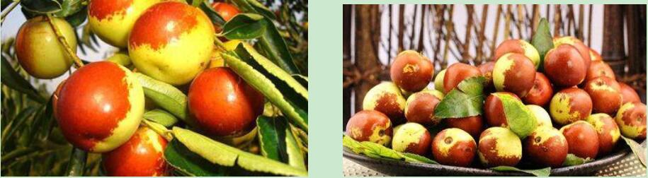 ��̼����մ�����������f��̼�䶬��ʾ���@