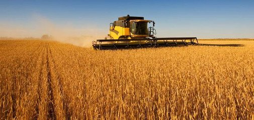 �e���r(n��ng)�Y�r(ji��)�񡰯��L(zh��ng)�����ܶ��r(n��ng)�Y��I(y��)���ܓβ��^(gu��)�@��(g��)