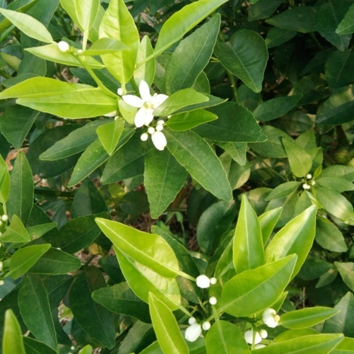 �����仨�����ʲôԭ��?q��)��µģ? /></a></td>
                <td><b><a href=