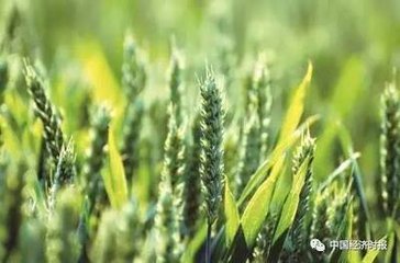 ���ʹ��o��(c��)�Y(ji��)��(g��u)�Ըĸ��{(l��n)Ƥ�����l(f��)��