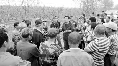 ��ˎ�p�p�|Ч�p��