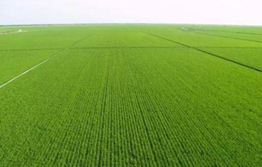 �r�I���������M����݆���ݸ����B���ƶȻ�