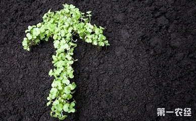 �Ї������ޏ�(f��)�a(ch��n)�I(y��)�� δ�������_(d��)���f�|Ҏ(gu��)ģ