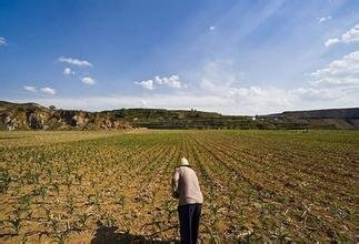 �{�гɹ��@���ĸ�����·��