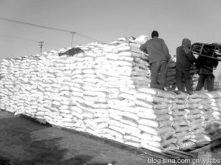 ������������ƣ�