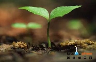 ���Ϸּ��˜�������Ҋ �M�֞�����