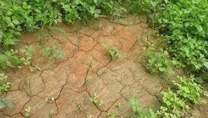 �ЙC���Ͽ����ؚ����O��ֵ��