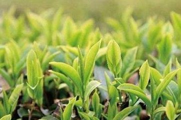 �������Y6000�fԪ��ʩ���˲��ЙC�����