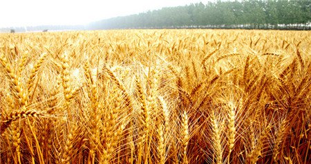 ��ע����ʩ�ʴ��ЙC��