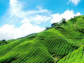 ʮ�r�Y�@���Ŀ�o�N�a�I����