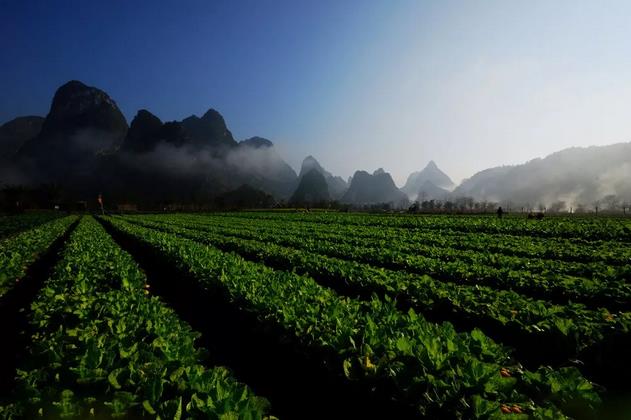 �l(f��)չ�����t(y��)�r(n��ng)�I(y��)���������Ї�(gu��)��ɫ�����B(t��i)�r(n��ng)�I(y��)֮·�� ���Ƅ�(d��ng)������\(y��n)��ͬ�w���O(sh��)��ؕ�I(xi��n)��