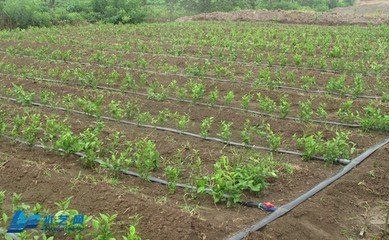 �����Ƅ�(d��ng)�½�ˮ��һ�w���l(f��)չ