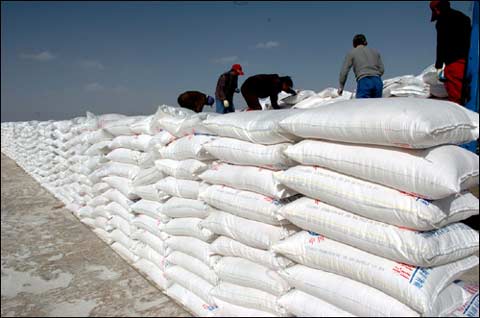 2017�Ї�������I100���l��