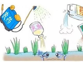 �҇������m���M�����rˎ���r�IͶ��Ʒ�p��