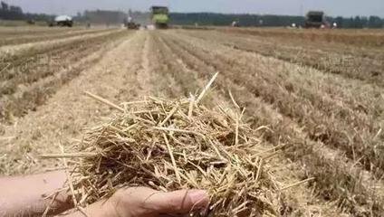 ���롡�r�I�����P���ЙC�ʵ��a�N��2000�|Ԫ�����I���˛]��