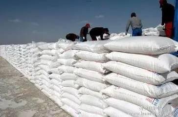 �P�c2017�������ИI(y��)����P�I�~