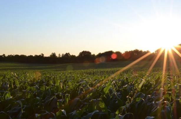 ����I�B(y��ng)���ЙC(j��)�ʵ����ʵ�׃���c��˼