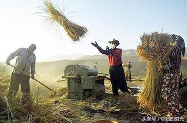 ���ʃr���ϝq���Ƹߴ��ڼZʳ���a�ɱ�