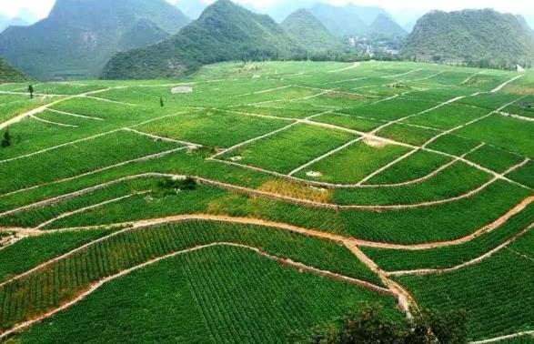 �ЙC(j��)���ƏV߀���y��ԭ��(l��i)����Ѩ�����@�