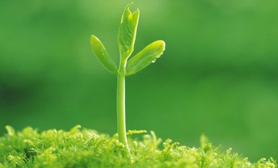 �ӱ���ȸ����΂��񣺼ӿ쌍ʩ������ʸ����c�����ޏ�