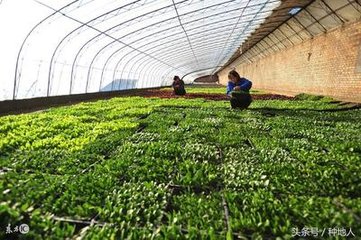 2018�꣬�ЙC��߀Ҫ��һ�ѣ����(zh��n)����ˆ᣿