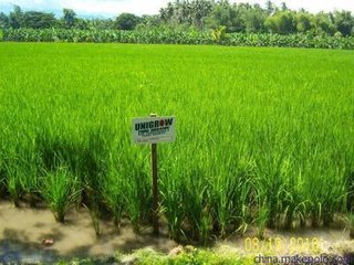 �����a�I�L�^���ţ���Γ��Z�@��ʮ�|Ҏģ���Ј���