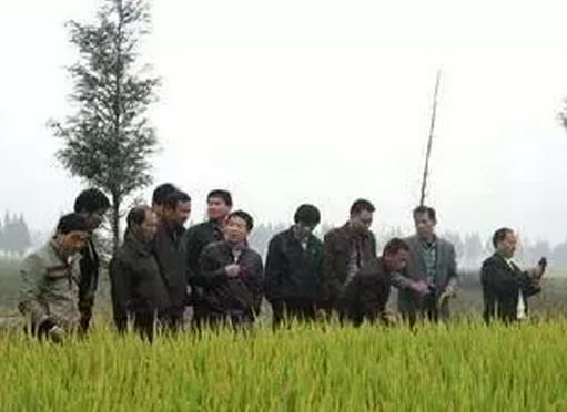 �r��������ĳЩ���B(t��i)�e�ԣ�����