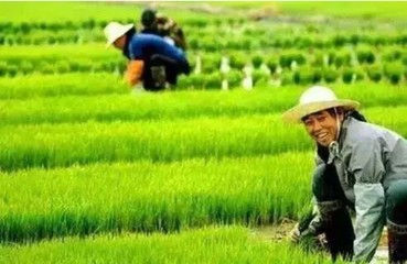 �r�I�����_���@26���£����������ļ���