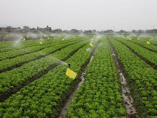 ˮ��һ�w���ġ��c�����Ρ�����