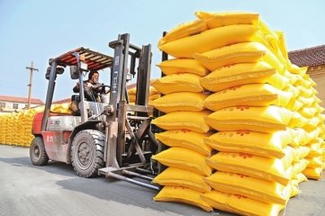 ��벢�e�����������ʃr�� ጷ���I���|�a��