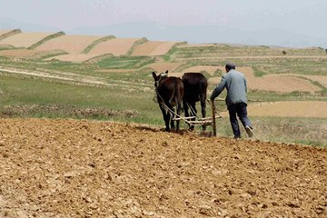 �ɲ��T���x������݆���ݸ����Ǘ����U��