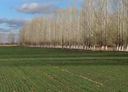 2018���r�I��ֱ�a����׃�����@Щ�˿ɶ��I��