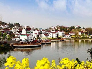 �f�B���������ƽ⡰��ηN�õء��y�} �����l(xi��ng)�����d