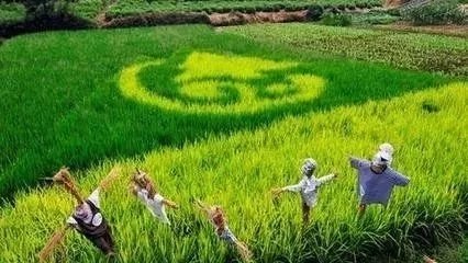 2018���r(n��ng)�I(y��)�����q��