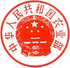 ����Ժ�M���r�I�r�岿�����ٱ����r�I��