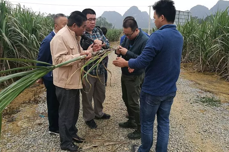 �V��ǧ�f��������r·���������ʙC(j��)��(hu��)���ˣ�